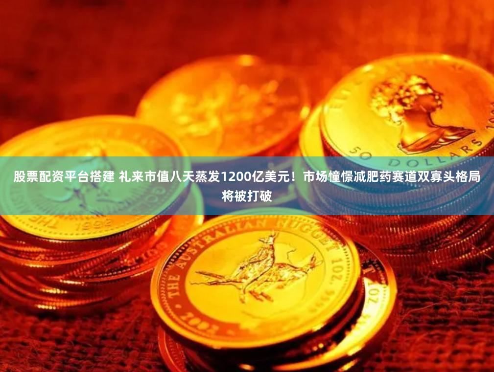 股票配资平台搭建 礼来市值八天蒸发1200亿美元！市场憧憬减肥药赛道双寡头格局将被打破