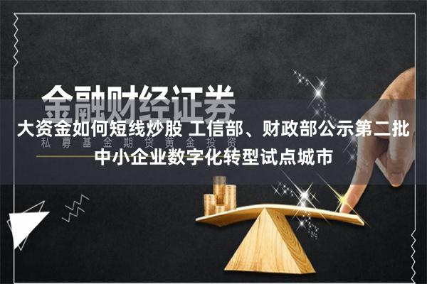 大资金如何短线炒股 工信部、财政部公示第二批中小企业数字化转型试点城市