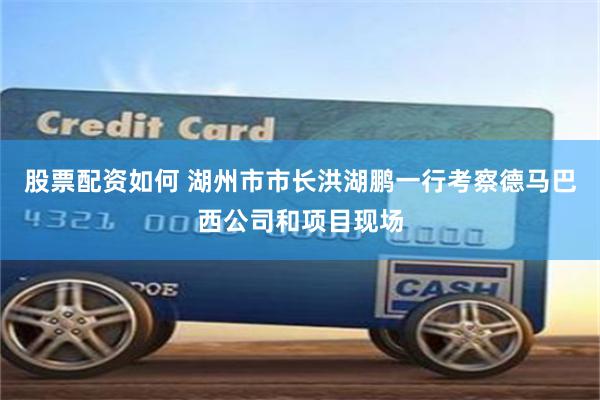 股票配资如何 湖州市市长洪湖鹏一行考察德马巴西公司和项目现场