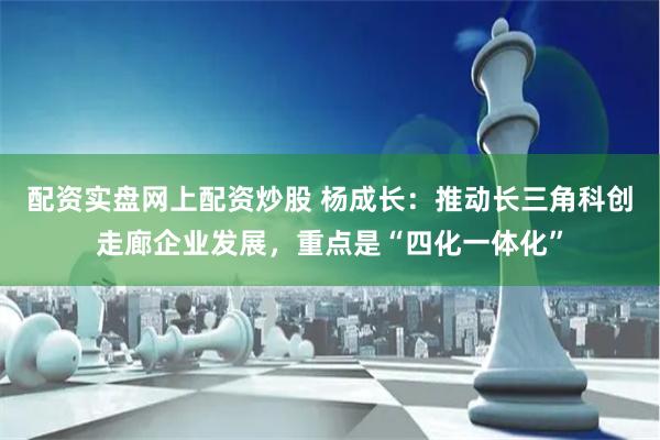 配资实盘网上配资炒股 杨成长：推动长三角科创走廊企业发展，重点是“四化一体化”