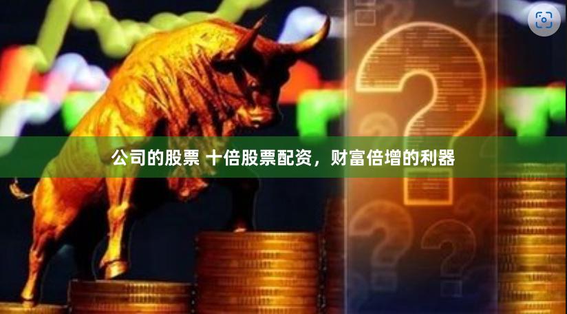公司的股票 十倍股票配资，财富倍增的利器