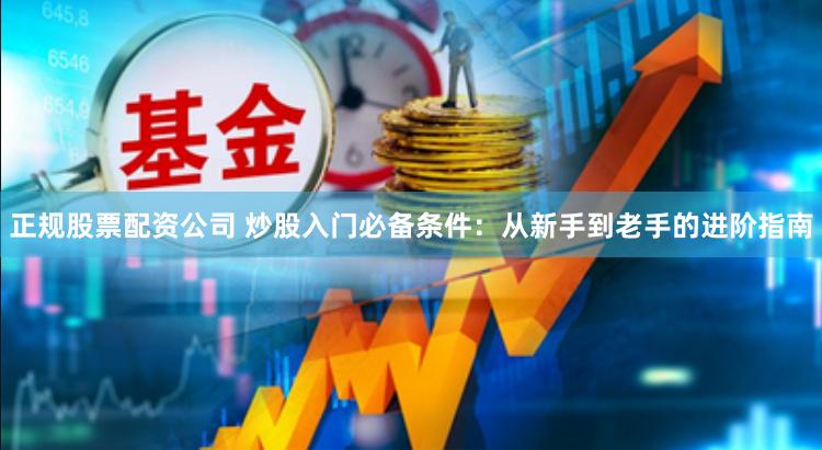 正规股票配资公司 炒股入门必备条件：从新手到老手的进阶指南