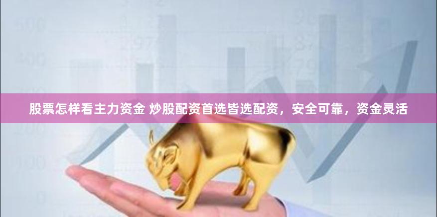 股票怎样看主力资金 炒股配资首选皆选配资，安全可靠，资金灵活