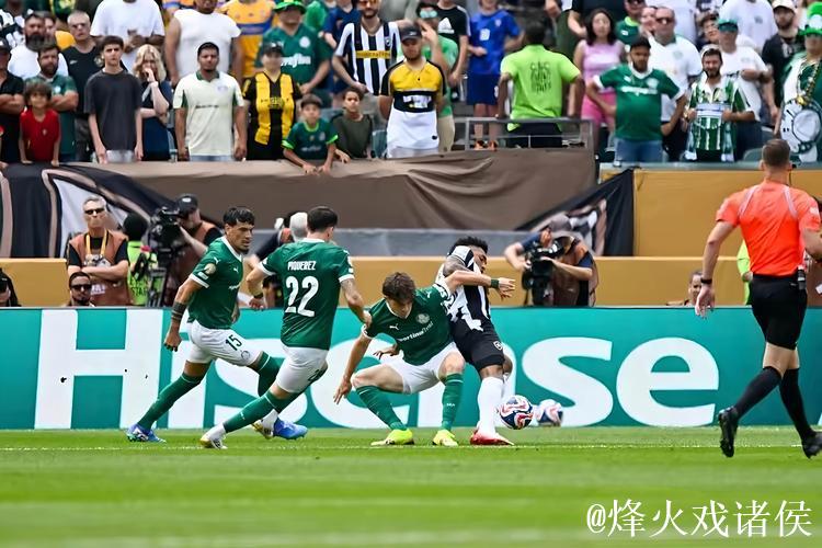 熊队胜波城,橄榄球欧冠第2轮战况 熊队胜波城,橄榄球欧冠第2轮战况